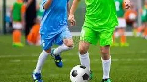 开云·体育 资讯 125119 y0c