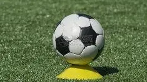 天地人细支·黄金叶尊享版