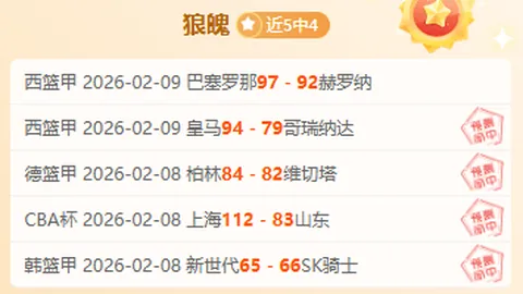 西甲昔日双子星另谋前程，新阵脚进球难满双，险些再谱辉煌篇章